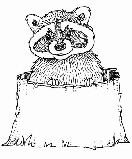 Raccoon Free for kids coloring page