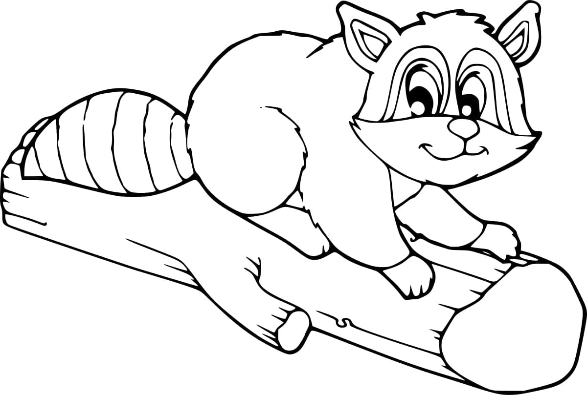 Raccoon on A Log coloring page