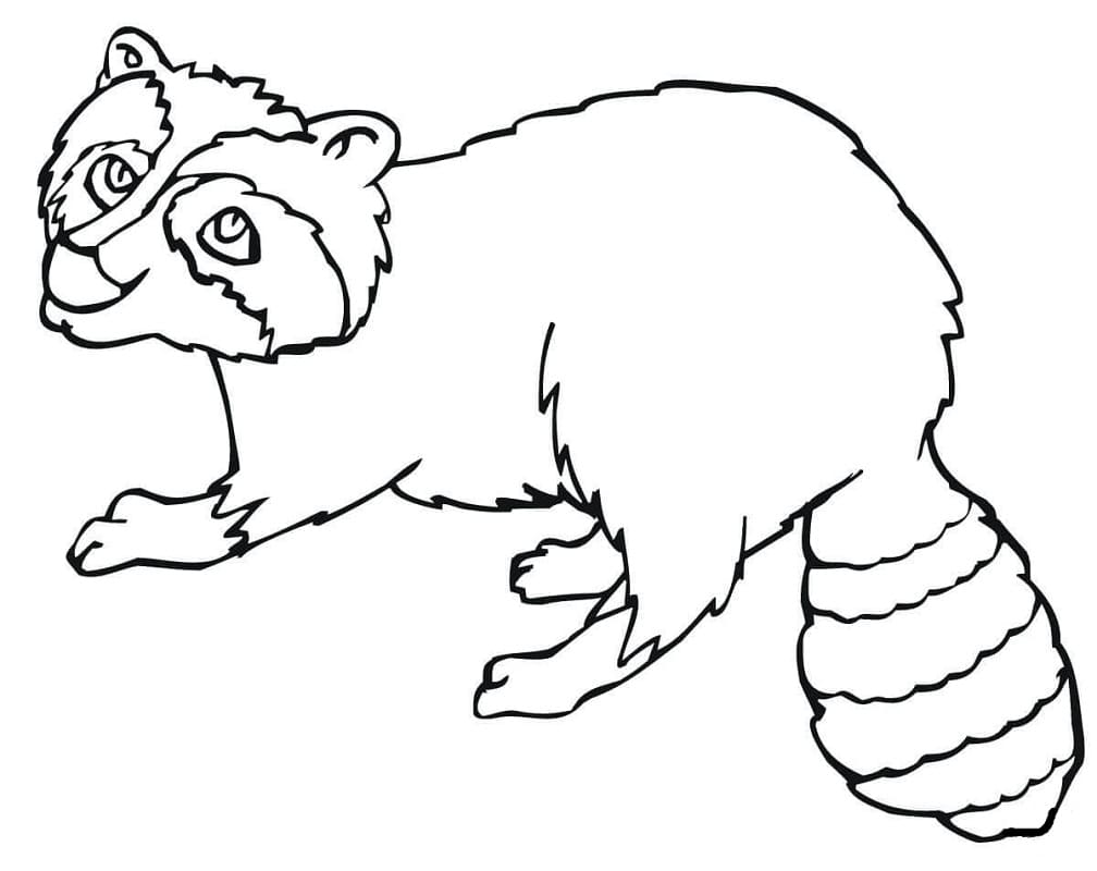 Raccoon to Print coloring page - Download, Print or Color Online for Free