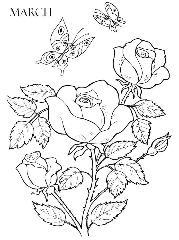 Roses for March coloring page