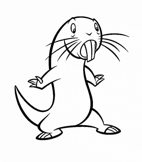 Rufus coloring page