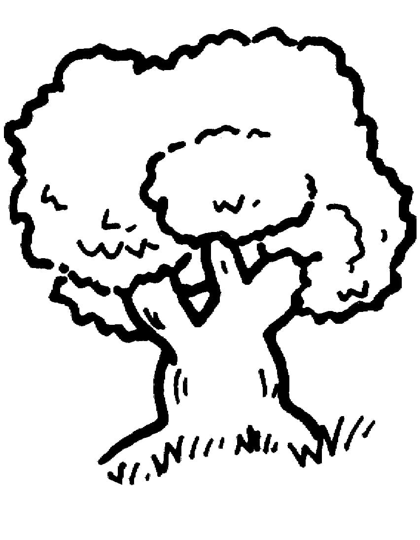 Simple Oak Tree coloring page