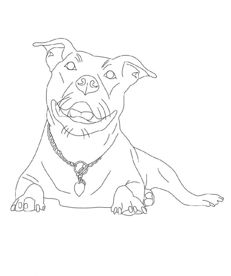 Simple Pitbull Dog coloring page