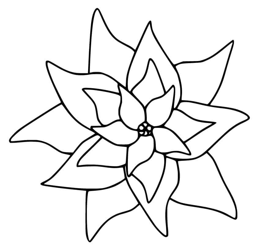 Simple Poinsettia