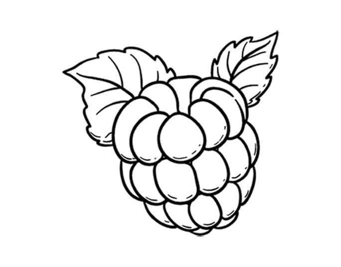 Single Raspberry coloring page