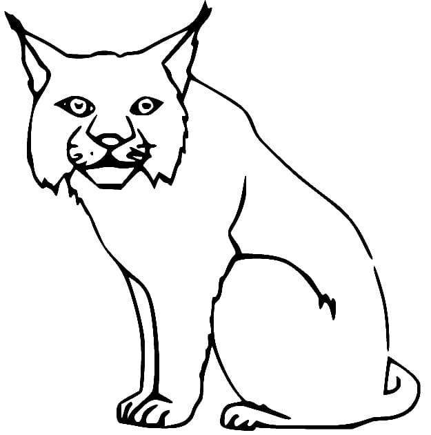 Sitting Lynx coloring page