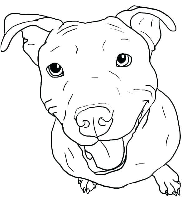 Smiling Pitbull coloring page