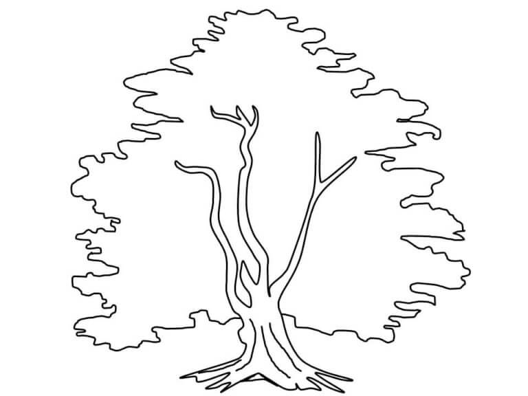 The Ancient Tree coloring page