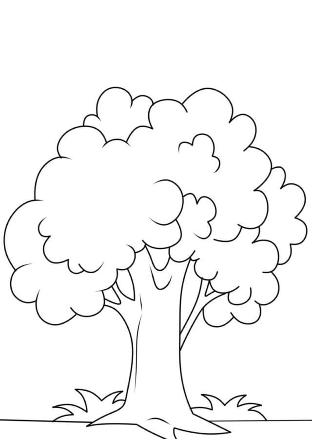 The Basic Tree coloring page