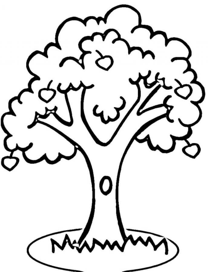 Tree On The Edge coloring page