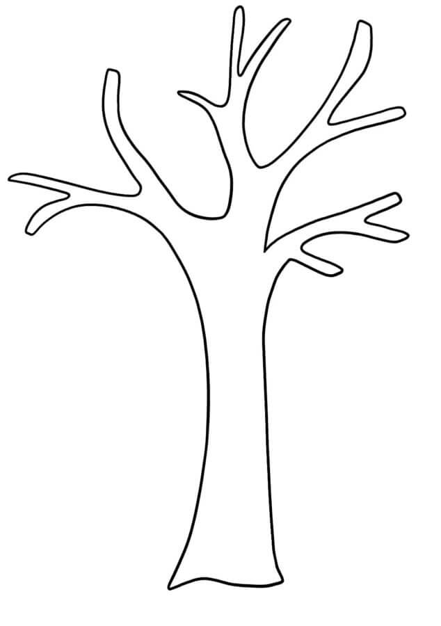 Tree Without Leaves