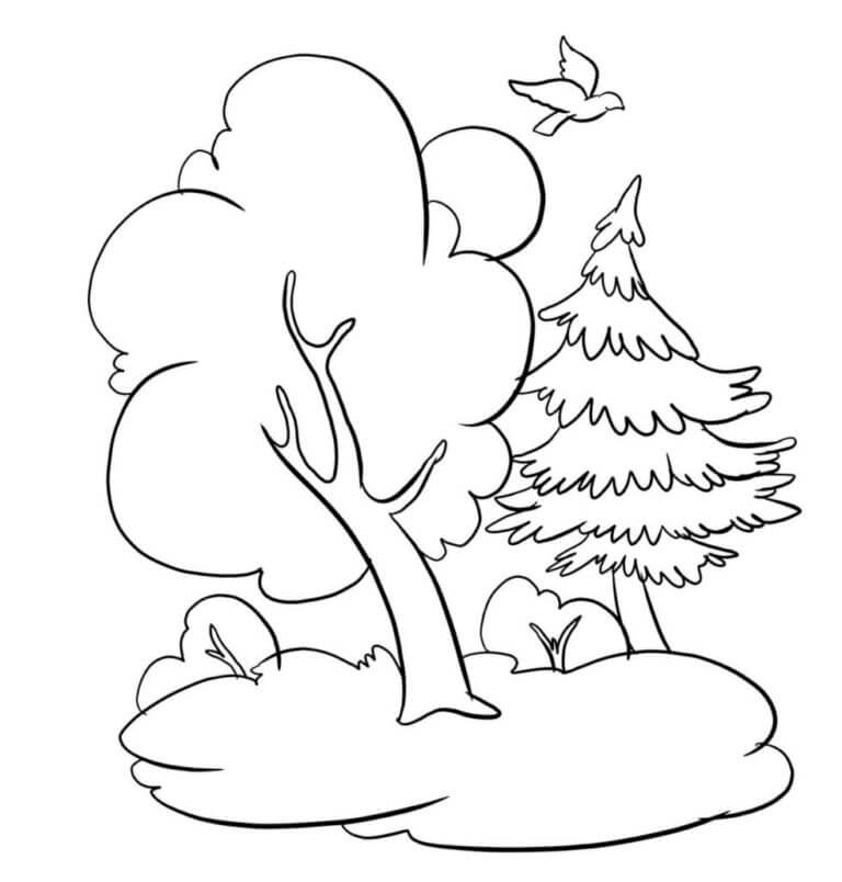 Trees in The Forest coloring page