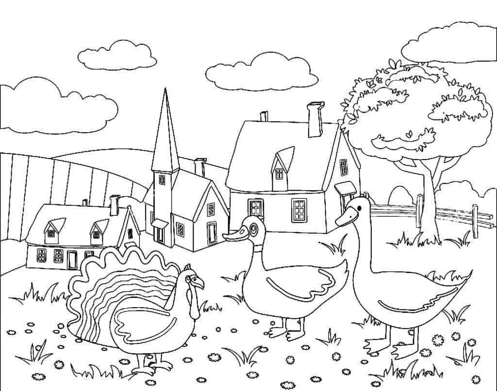 Turkey, Goose and Duck coloring page