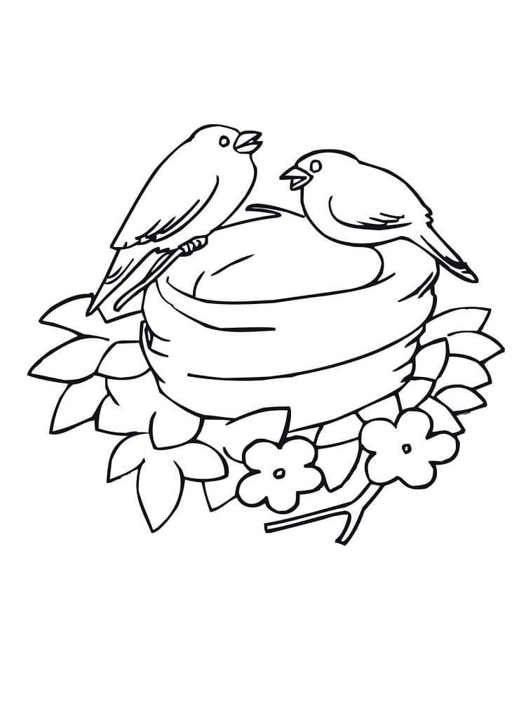 Two Birds in Nest coloring page