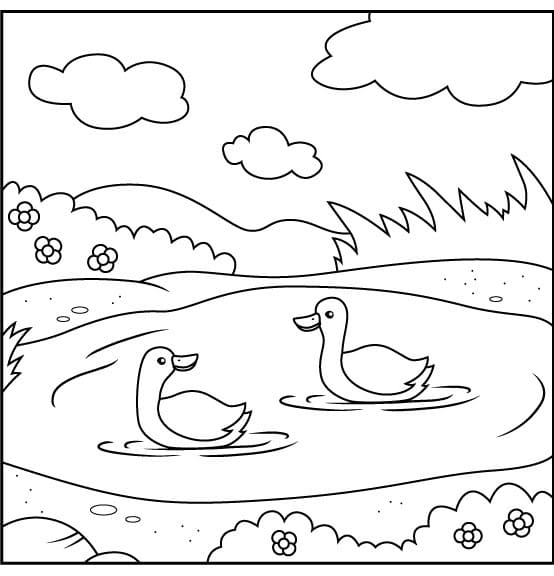 Two Ducks on the Lake coloring page