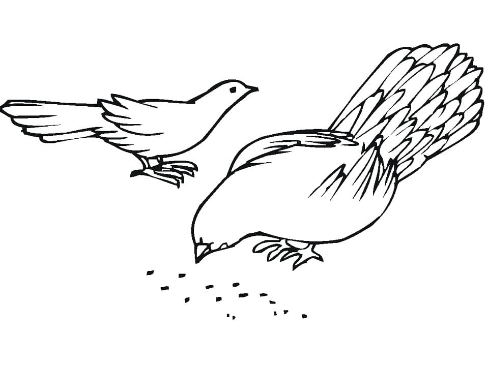 Two Pigeons coloring page