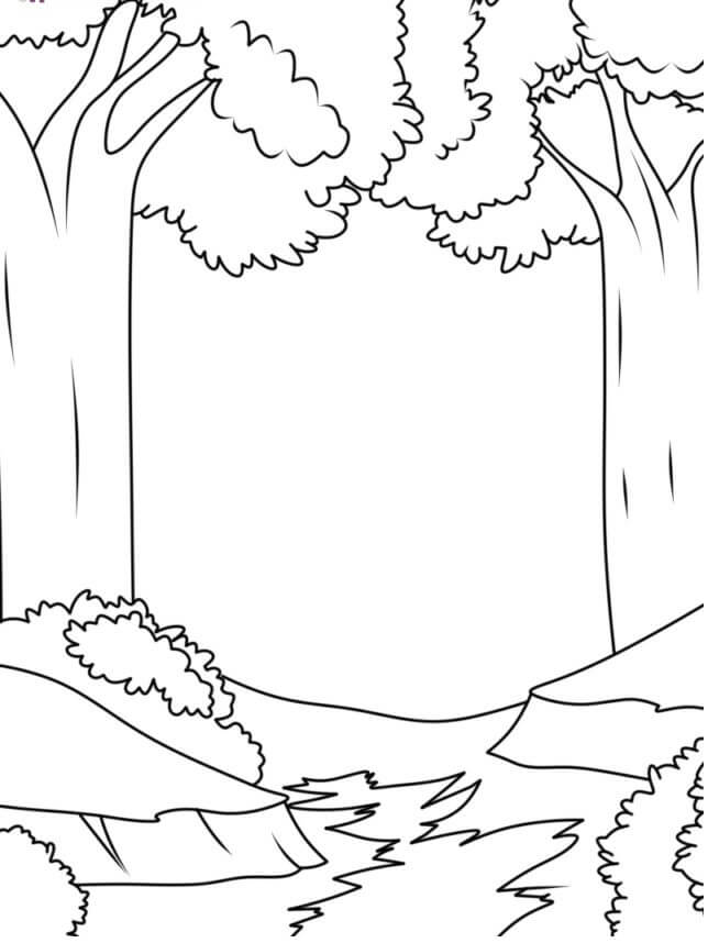 Two Trees coloring page