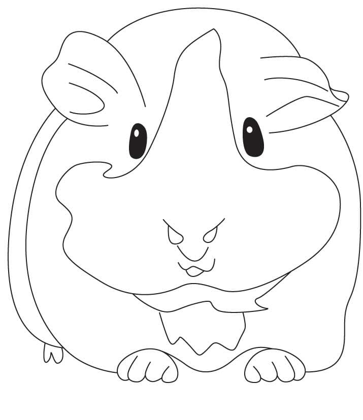 Very Simple Guinea Pig