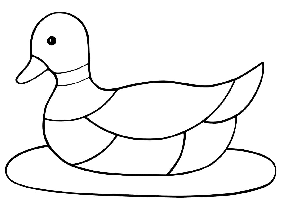 Very Simple Mallard Duck coloring page - Download, Print or Color ...