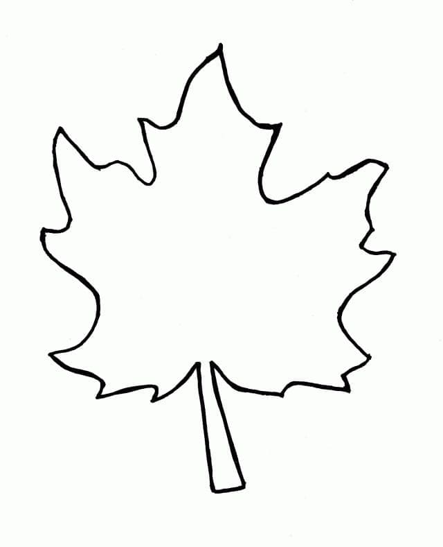 Very Simple Maple Leaf