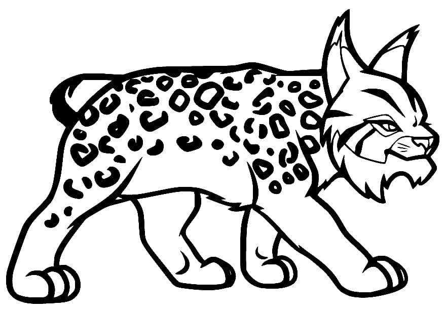 Walking Lynx coloring page