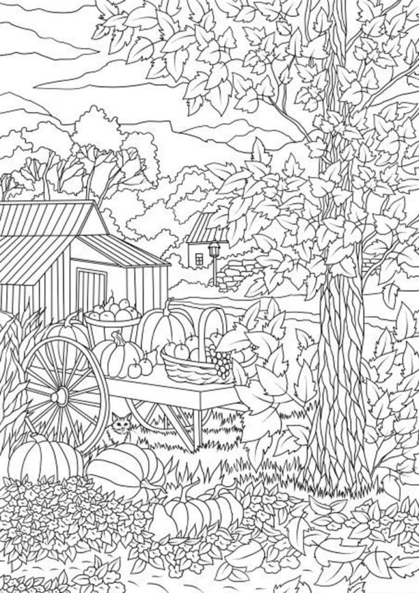 Autumn Forest coloring page