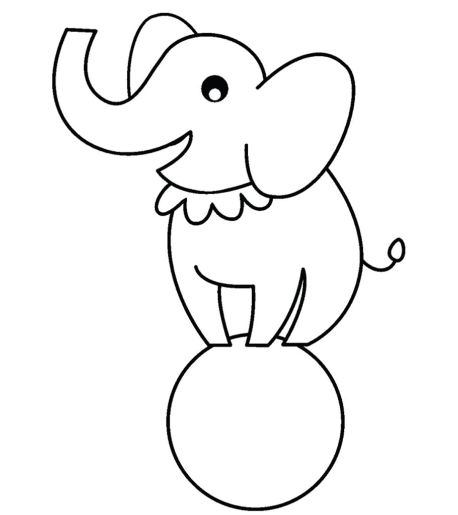 Cute Elephant Preschool