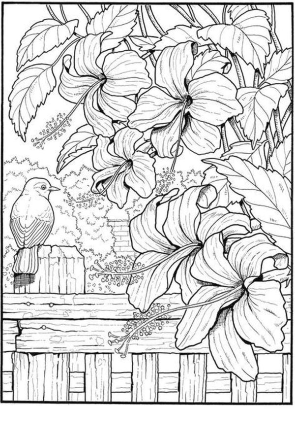 Flower Garden coloring page