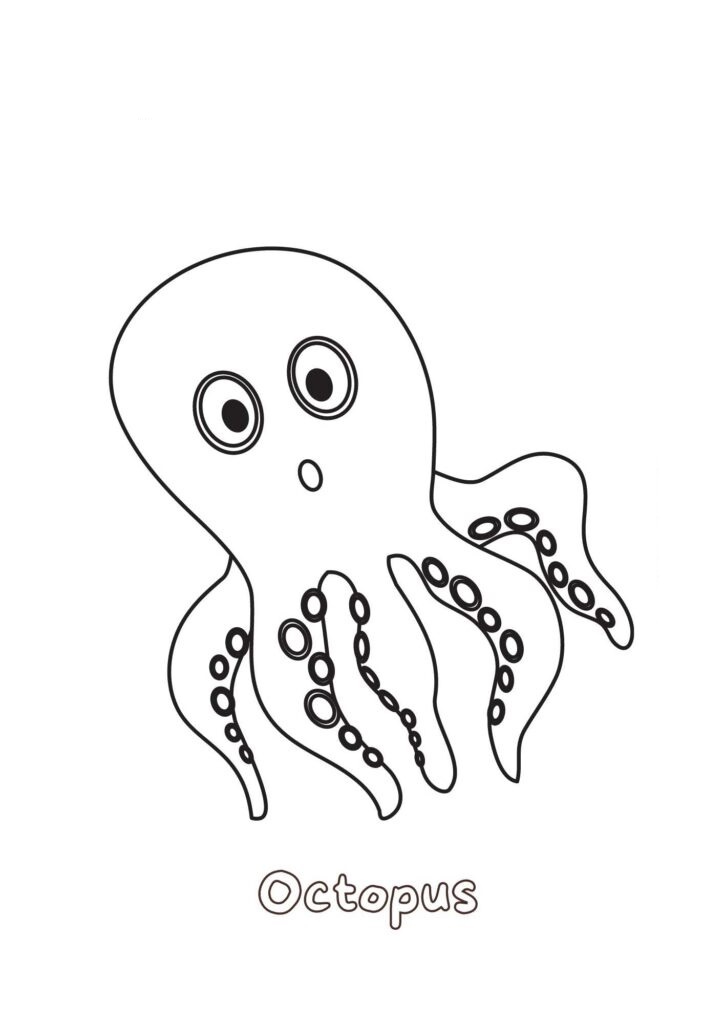 Octopus Preschool coloring page