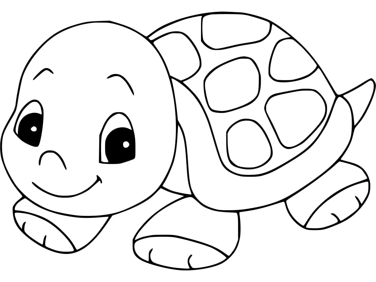 Under the sea coloring page for children with tortoise. Vector ocean life  outline illustration with cute water animal. Color book for kids with  colore Stock Vector Image & Art - Alamy