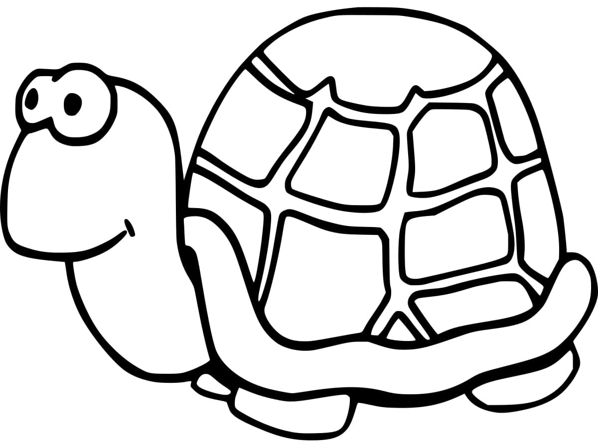 A Funny Tortoise coloring page