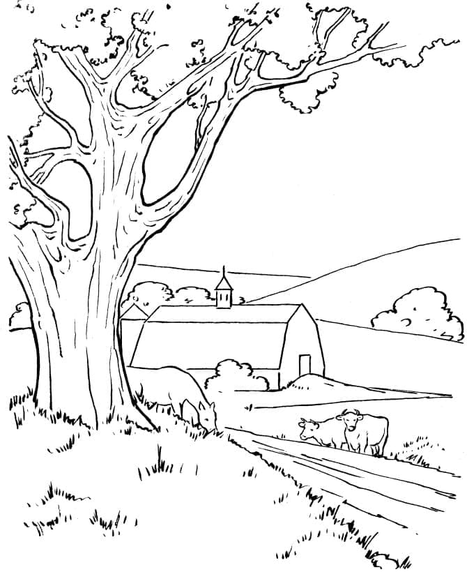 Agricultural Landscape coloring page