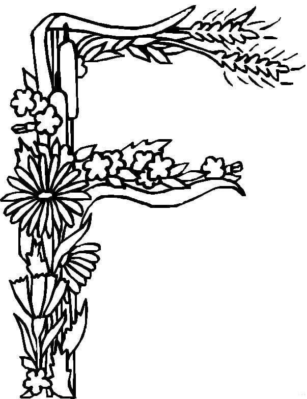 Alphabet Flower Letter F coloring page