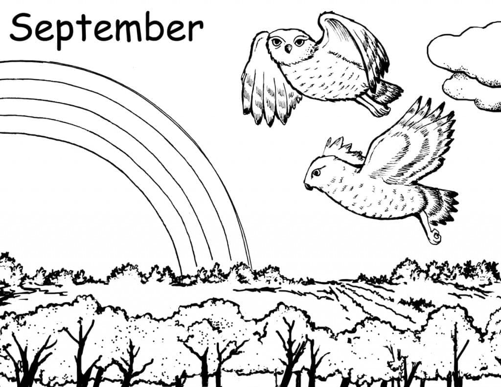 Beautiful Forest in September coloring page