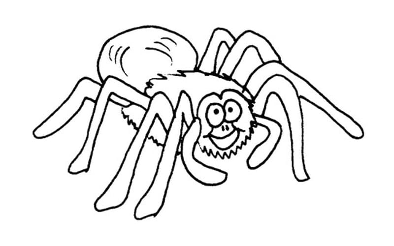 Cartoon Tarantula Spider coloring page - Download, Print or Color ...