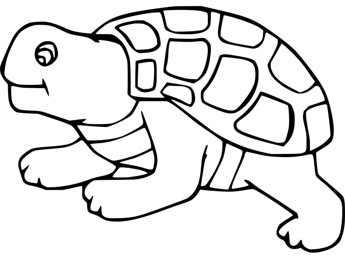 Easy Tortoise coloring page