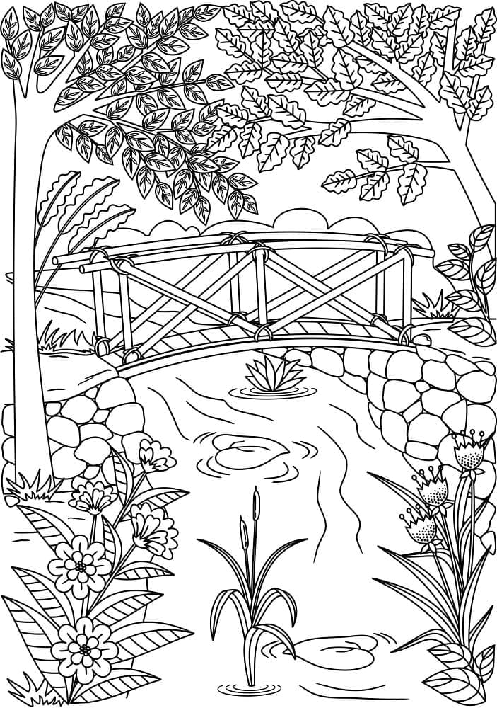 Forest Stream Landscape coloring page