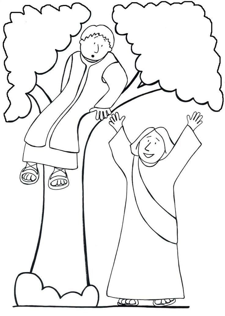 Free Printable Zacchaeus coloring page