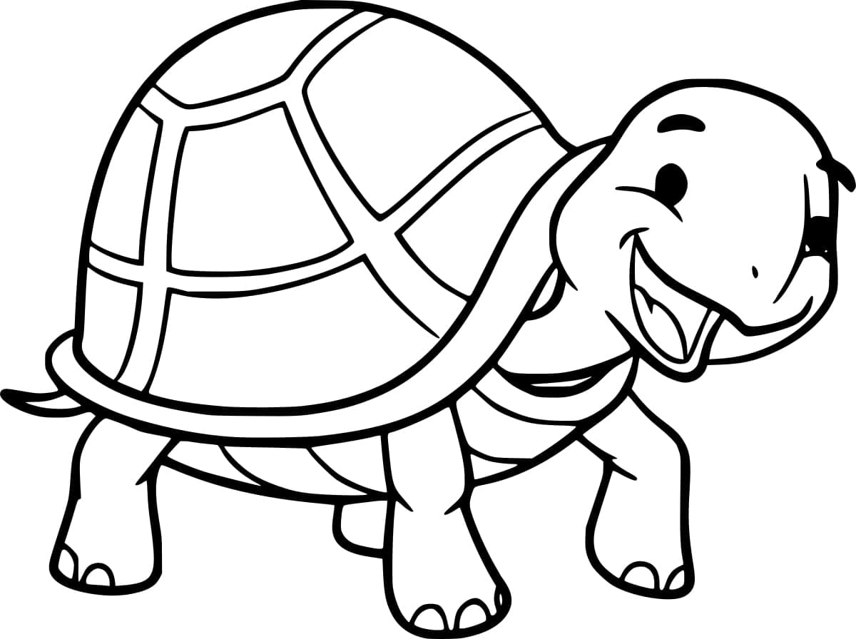 Happy Tortoise coloring page