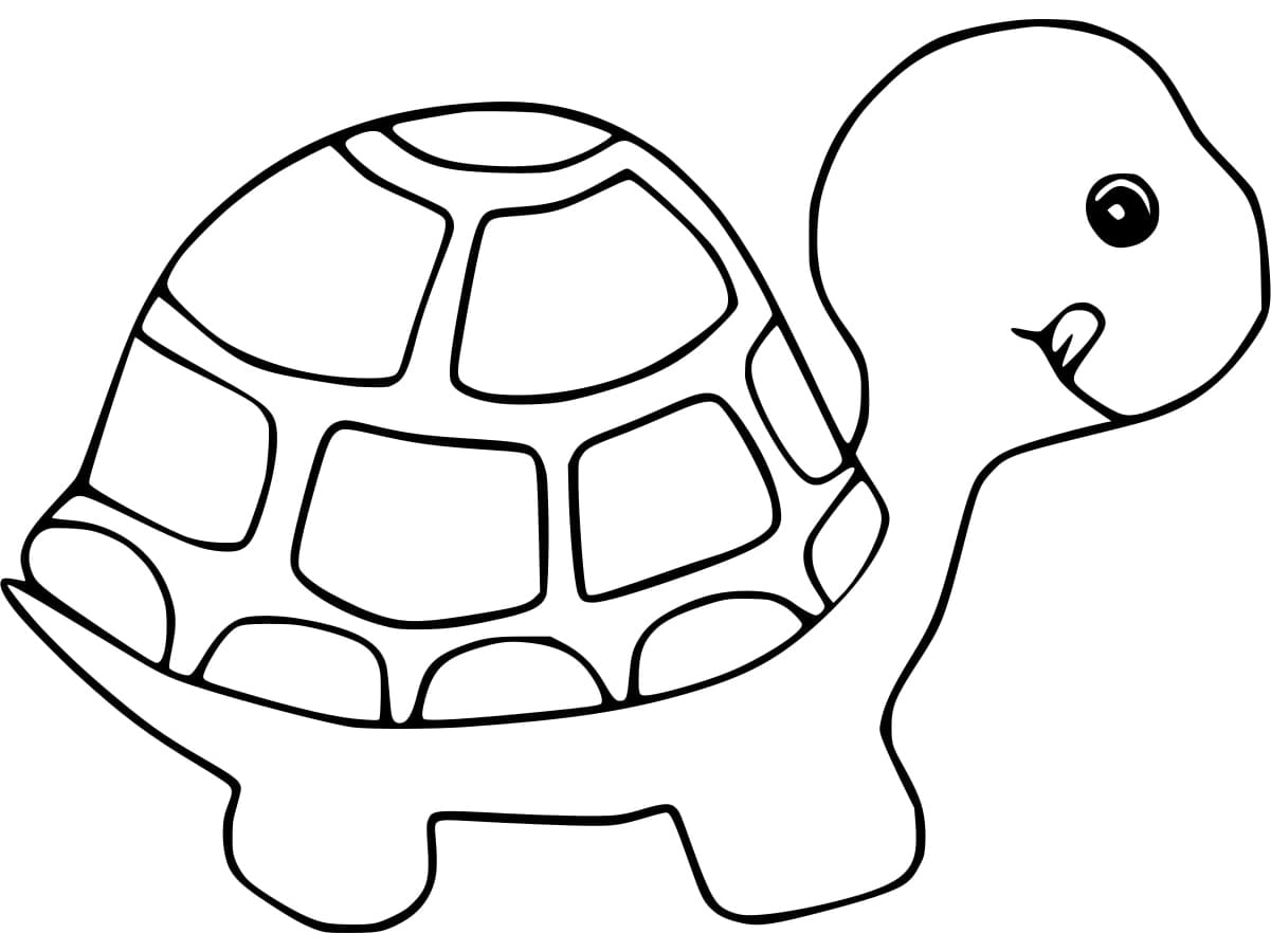 Hungry Tortoise coloring page