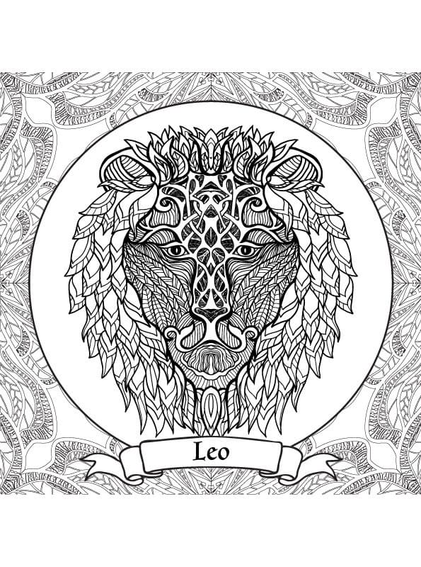 Leo Zodiac Sign for Adults