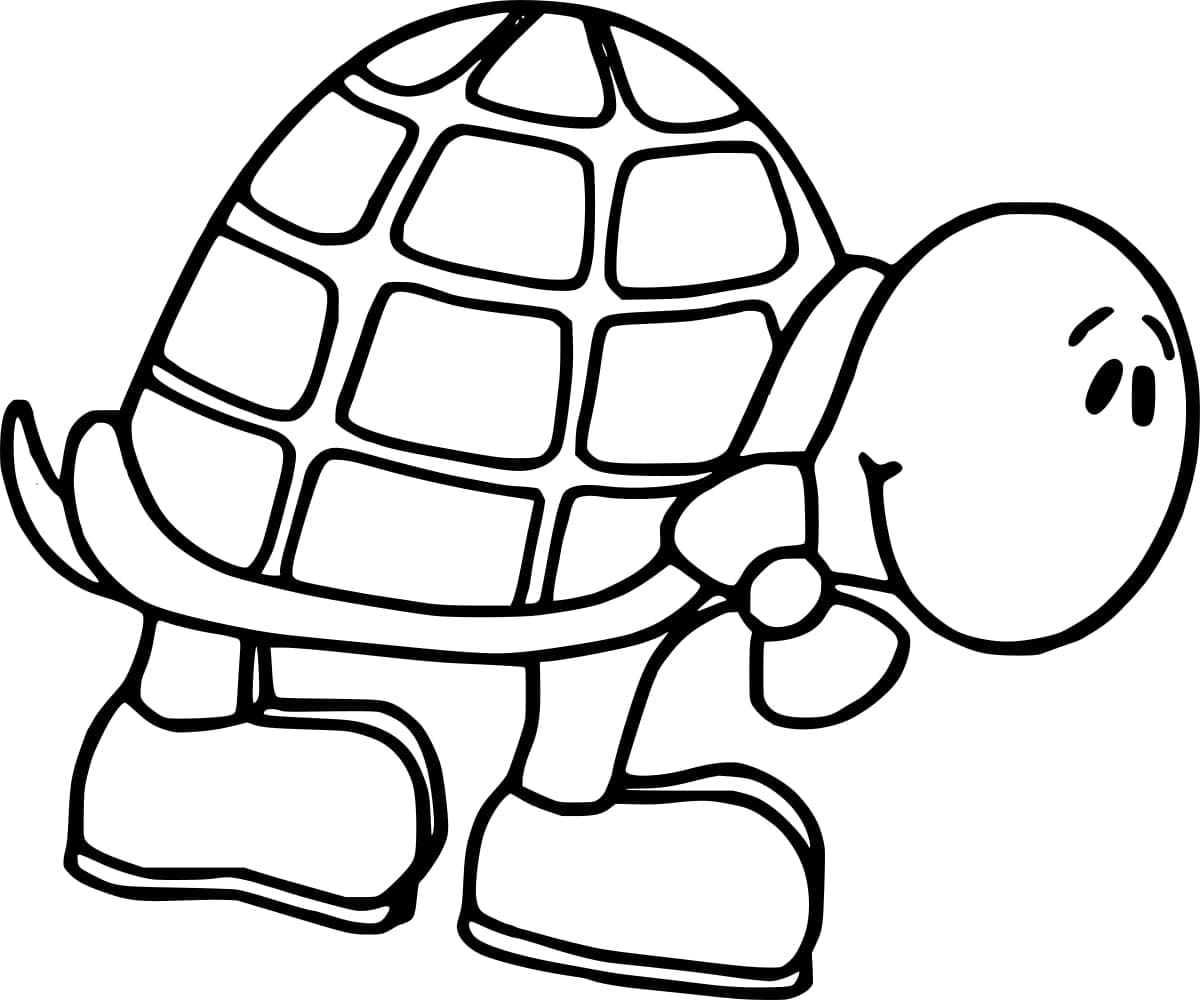 Little Tortoise coloring page