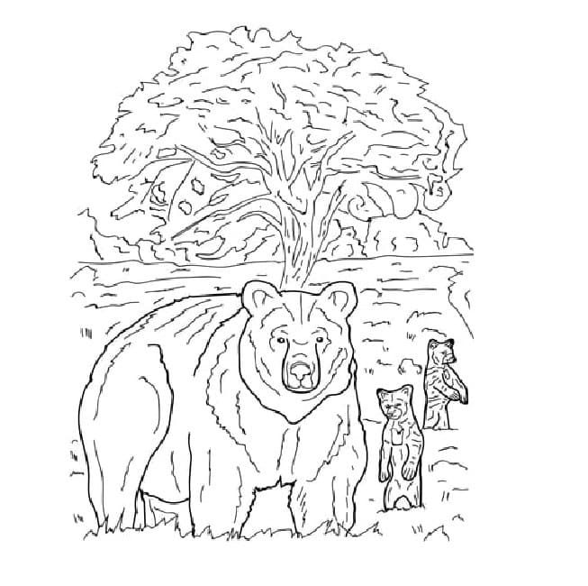 Nevada bears coloring page