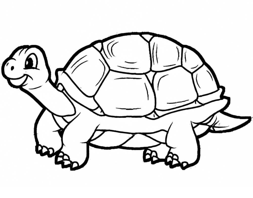 Print Tortoise coloring page