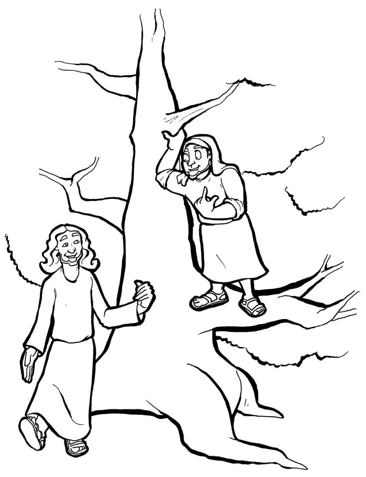 Print Zacchaeus coloring page