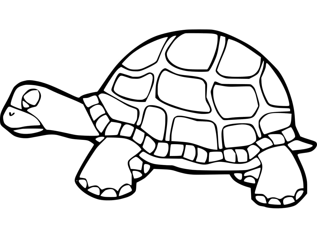 Sad Tortoise coloring page