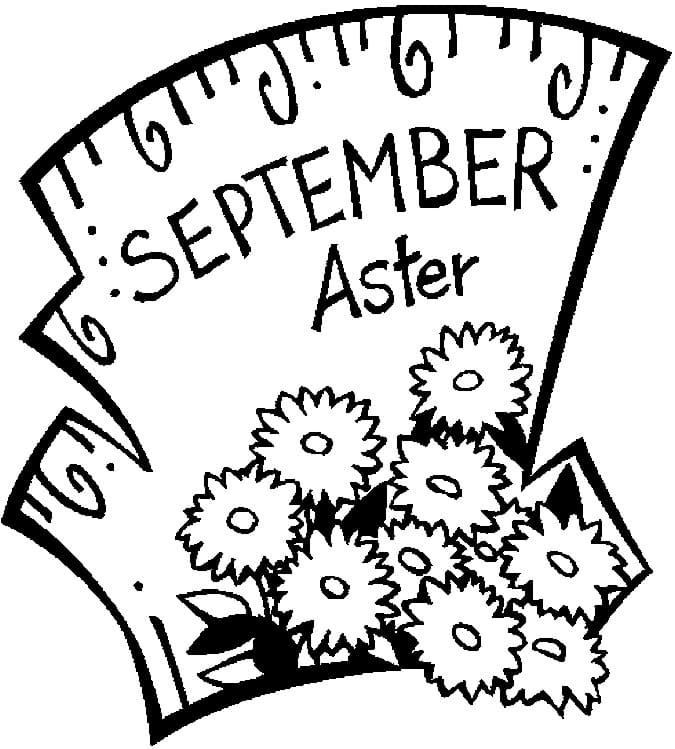 September Aster coloring page