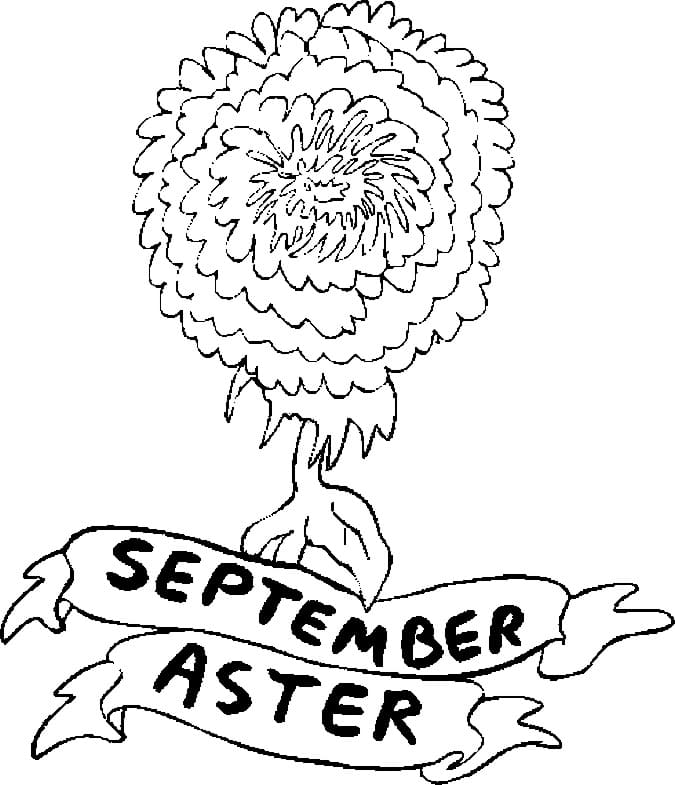 September Aster Flower coloring page