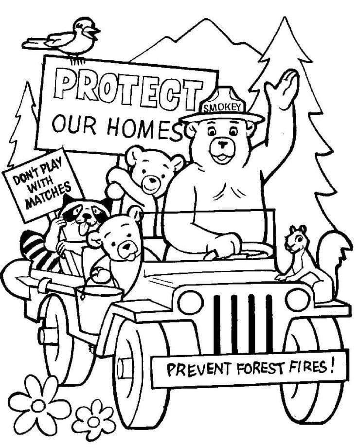 Smokey Bear and Animals