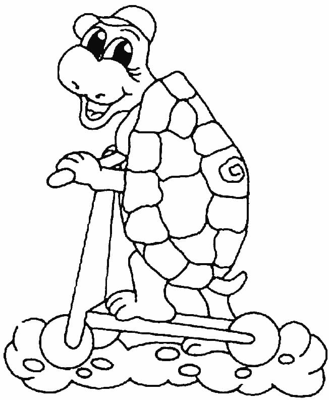 Tortoise on Scooter coloring page